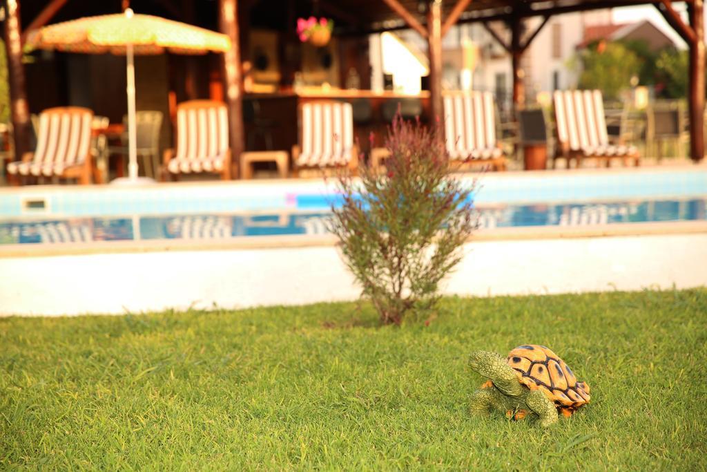 Sunshine Boutique Hotel Дальян Екстер'єр фото